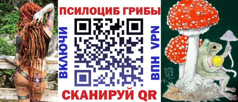 Купить где  Мыски  Галлюциногенные грибы Psilocybine cubensis 